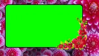 GREEN SCREEN FLOWER FRAME VIDEO