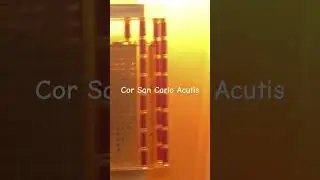 Cor San Carlo Acutis Assisi 2026
