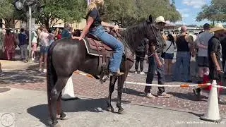 &ldquo;Ava&rdquo;- 14.2H, 8 yr old black and white overo paint mare SMOOTH & SAFE Trail Horse!