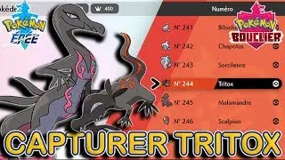 Obtenir Tritox et Malamandre | Pok&eacute;mon &Eacute;p&eacute;e et Bouclier
