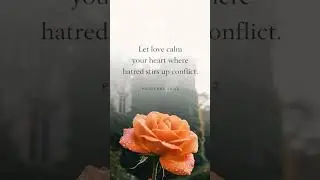 &ldquo;Let love calm your heart where hatred stirs conflict. Simple, powerful, true.