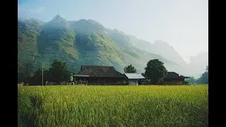 Discover Mai Chau's Rich Traditions and Beauty In 2 Days