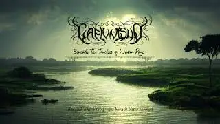 Caelumsun  -  Beneath The Touches of Warm Rays (Audio Visual)