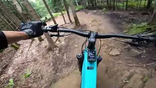 The Best OF Quebec . Gnarly trails!