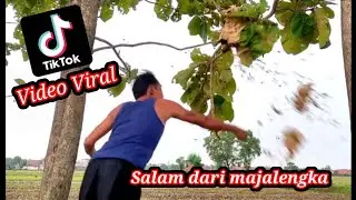 Tinju Sarang Tawon  (Salam dari Majalengka)