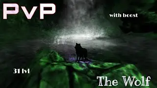The Wolf - PvP with boost | 31 lvl | ПвП с бустом