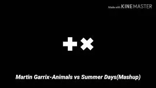 Martin Garrix-Animals Vs Summer Days(Mashup)