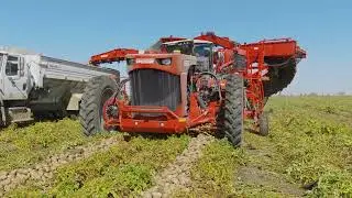 7040 Terratron