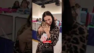 Это когда твоя кошка остается среди лучших🏆😻 #bengali #cat #котики