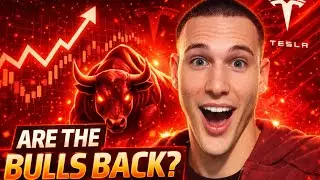Tesla Stock: Bullish Divergence Signals Potential Recovery