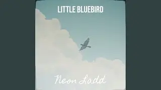 Little Bluebird (feat. The Fabrics)