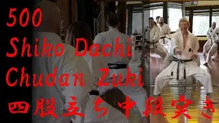 500 Shiko Dachi Chudan Zuki After 2 hours of intense training including hand conditioning GojuKarate