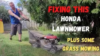 РЕМОНТ газонокосилки Poulan Honda GCV 160 и стрижка травы!