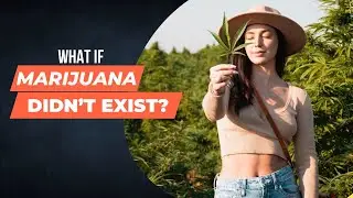 Exploring the Impact of Marijuana's Absence: Consequences and Speculations