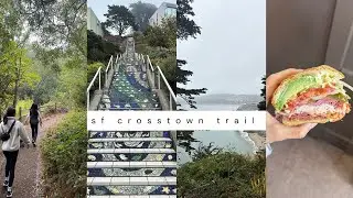11.5 miles on the SF Crosstown Trail (starting from Glen Park) 