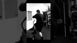 Dedication hard work #shorts #motivation #fitness #dedication #goals