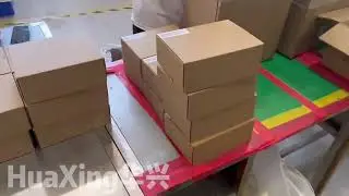 Huaxing rechargeable battery cells-Packing