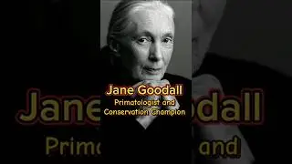 Jane Goodall Primatologist and Conservation Champion #motivation #shorts