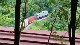 Trem graneleiro carregado (Tricotrol) de SD70ACe-BB da VLI descendo a Serra do Tigre