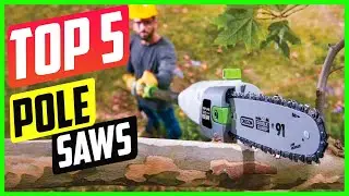 Top 5 Best Pole Saws On The Market in 2021 Reviews