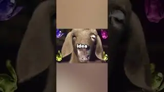 Эта реклама Tyler the Creator ЗАПРЕЩЕНА