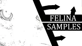 TODAS as SAMPLES de FELINA