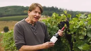 Willamette Valley Vineyards Whole Cluster Pinot Noir & Ros&eacute;