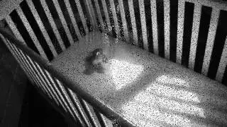 Steve Taylor - Baby Doe