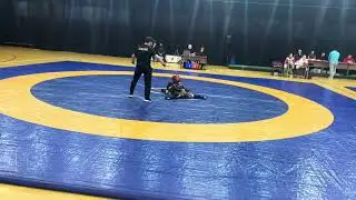 3 февраля 2026 г.