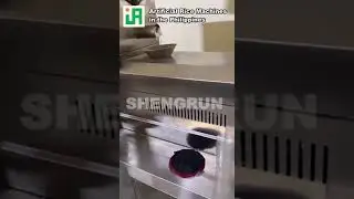 Anemia Prevention Vitamins and Mineral Substance Fortified Rice Kernels (FRK) Plant Production Line