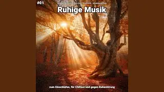 Wundersch&ouml;ne Musik
