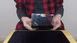 Magic Money Box
