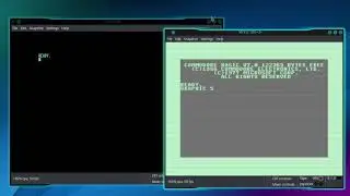 Switch To 80 Column Mode In VICE C128 Emulator