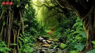 Calm Sleep Sound for Stress Relief and Full Night Deep Rest