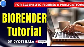 Учебное пособие по BioRender для начинающих | Научные рисунки и иллюстрации | Для исследований и ...