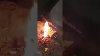 The Torture Of SpongeBob SquarePants