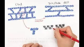 Building better barriers: how occludin and tricellulin contribute to the epithelial barrier