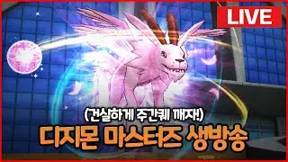 디마 건실하게 주간퀘 해치우자! [디지몬 마스터즈 생방송]