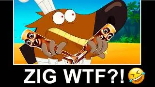 ZIG & SHARKO BEST YTP OF JULY