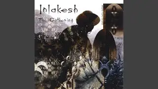 Forest Gathering