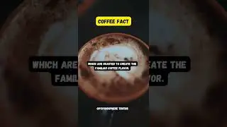 COFFEE FACT #viral #facts #coffee #shorts