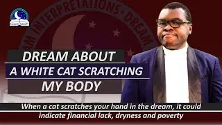 Dream About A White Cat Scratching Your Body - Meaning from Evangelist Joshua