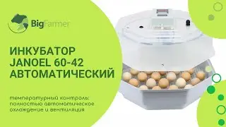 Инкубатор Janoel 60 42 автоматический китайский
