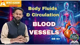 Blood Vessels | Arteries, Veins & Capillaries Explained | Class 11 | NEET Foundation | GB Sir