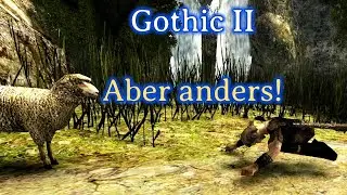 Das Lager der Schafe