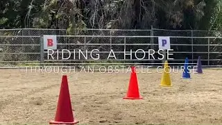 Guiding your Horse through an Obstacle Course