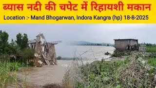  mand bhogarwan today news ||  beas river of water level || pong dam water level || pong dam 