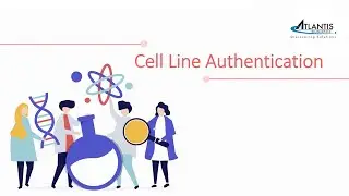Cell line authentication