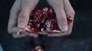 Rallidae - Now I Walk In Beauty (official video by Brooke Herr)