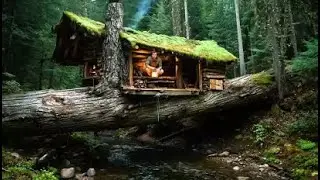 Forest Homemaking: DIY Cabin Living & Nature Home Setup